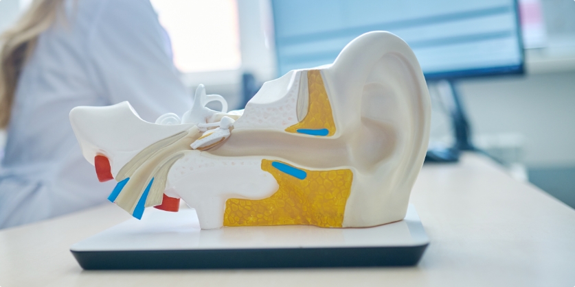 Heartland Hearing Professionals Blog